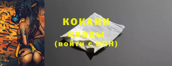 ПСИЛОЦИБИНОВЫЕ ГРИБЫ Аркадак